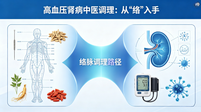 高血压伤了肾，只控压够吗？从"络"入手的中医调理思路