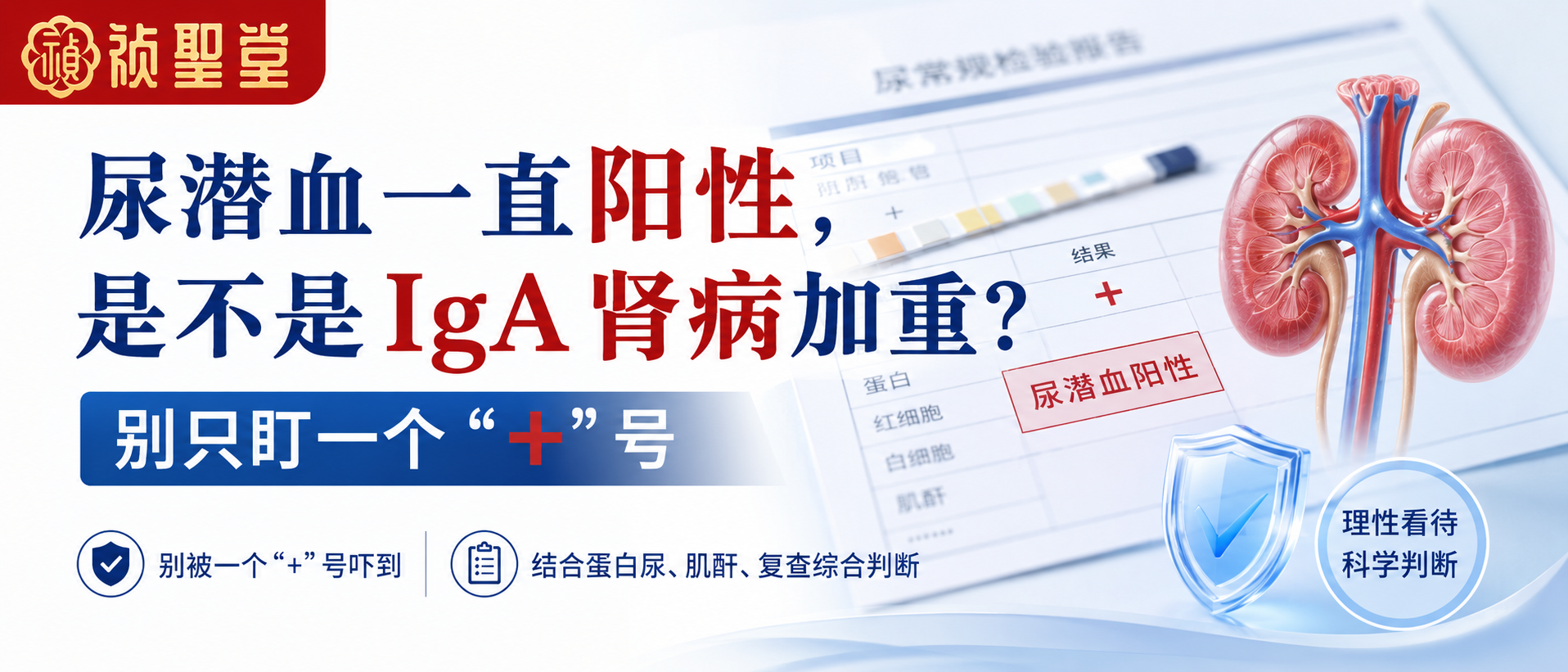 尿潜血一直阳性，是不是 IgA 肾病加重？别只盯一个“+”号