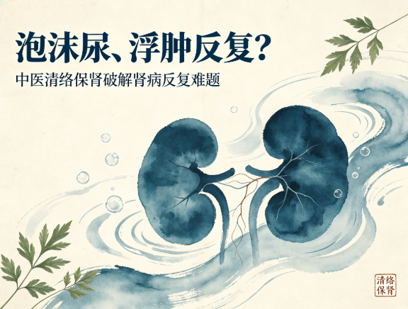泡沫尿、浮肿反复？中医清络保肾破解肾病反复难题