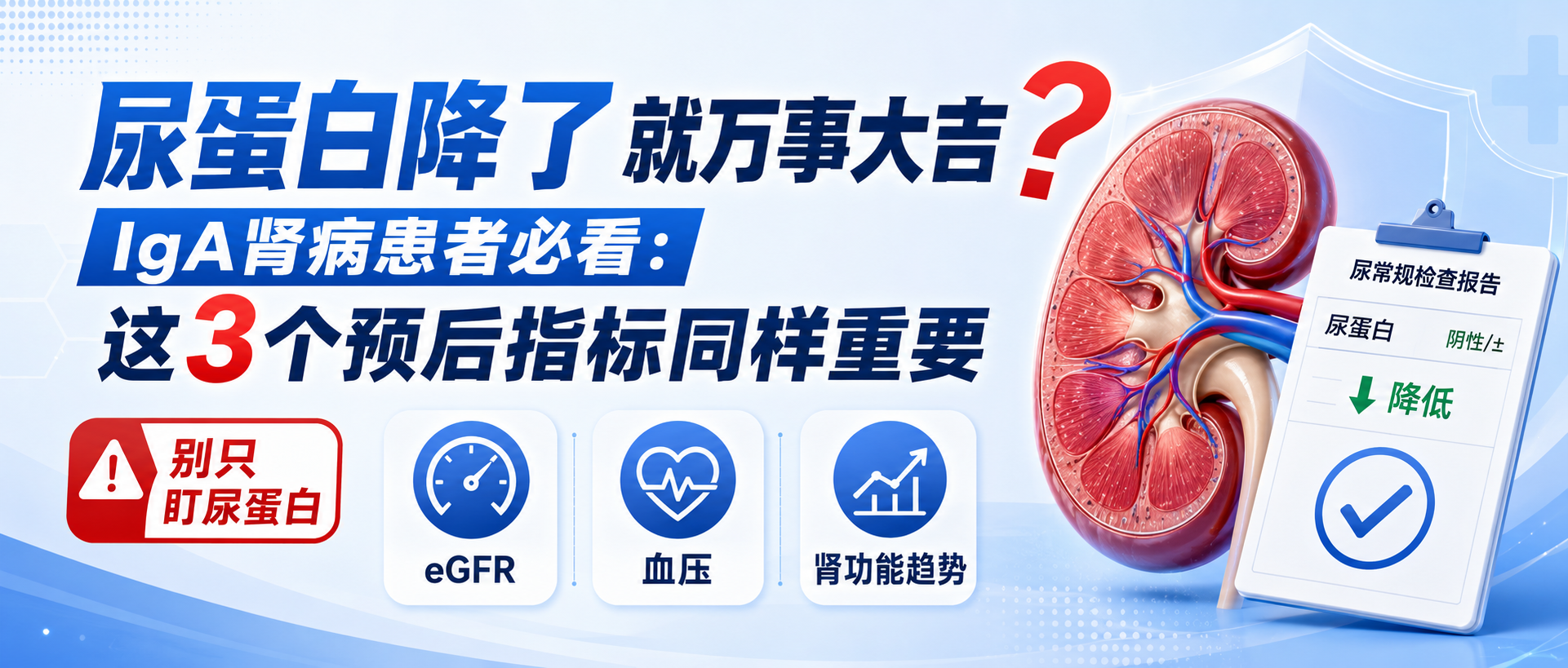 尿蛋白从2g降到0.5g，为何肌酐还在涨？揭开肾病治疗的“隐形陷阱”
