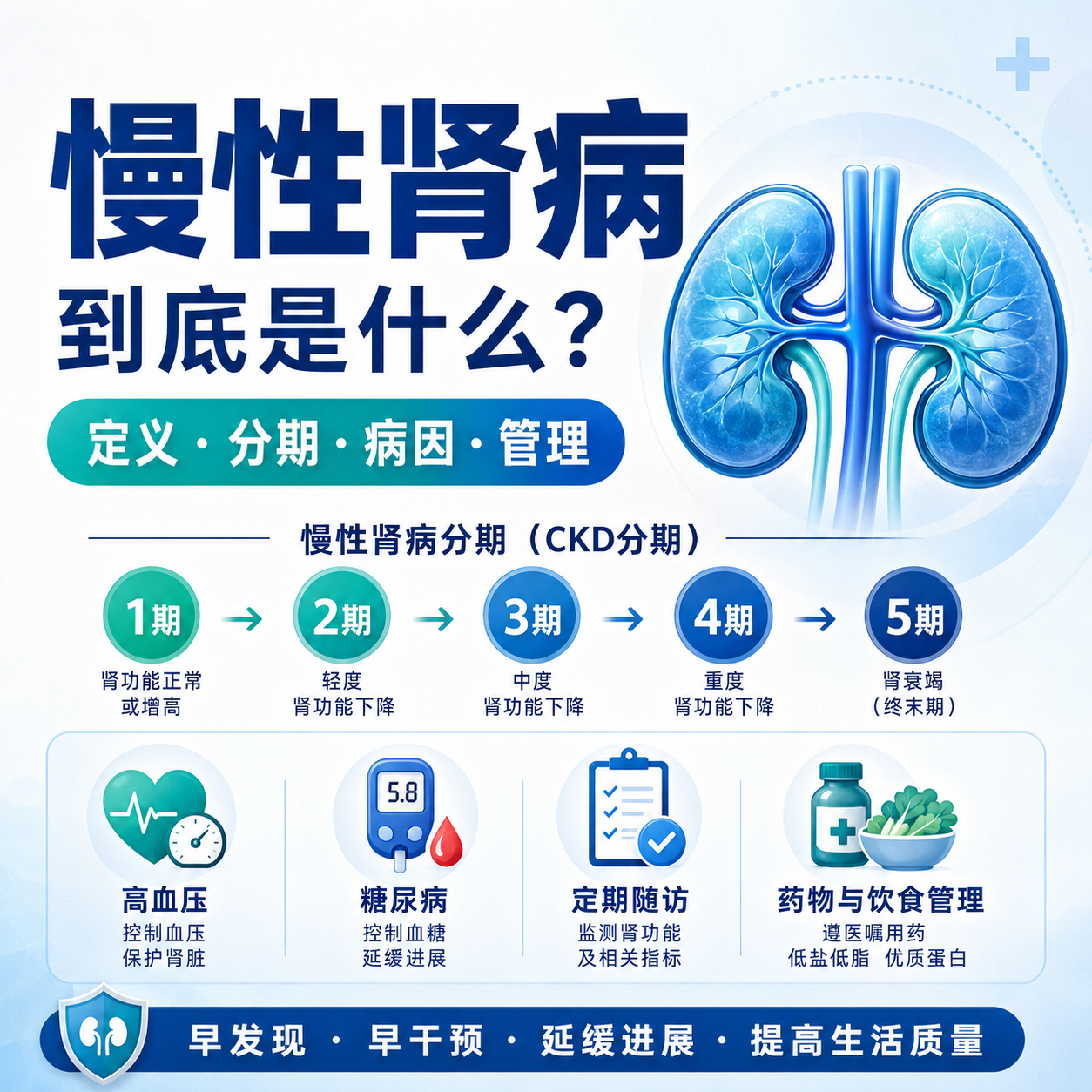 慢性肾病到底是什么？从定义、分期、常见病因到长期管理逐项说明