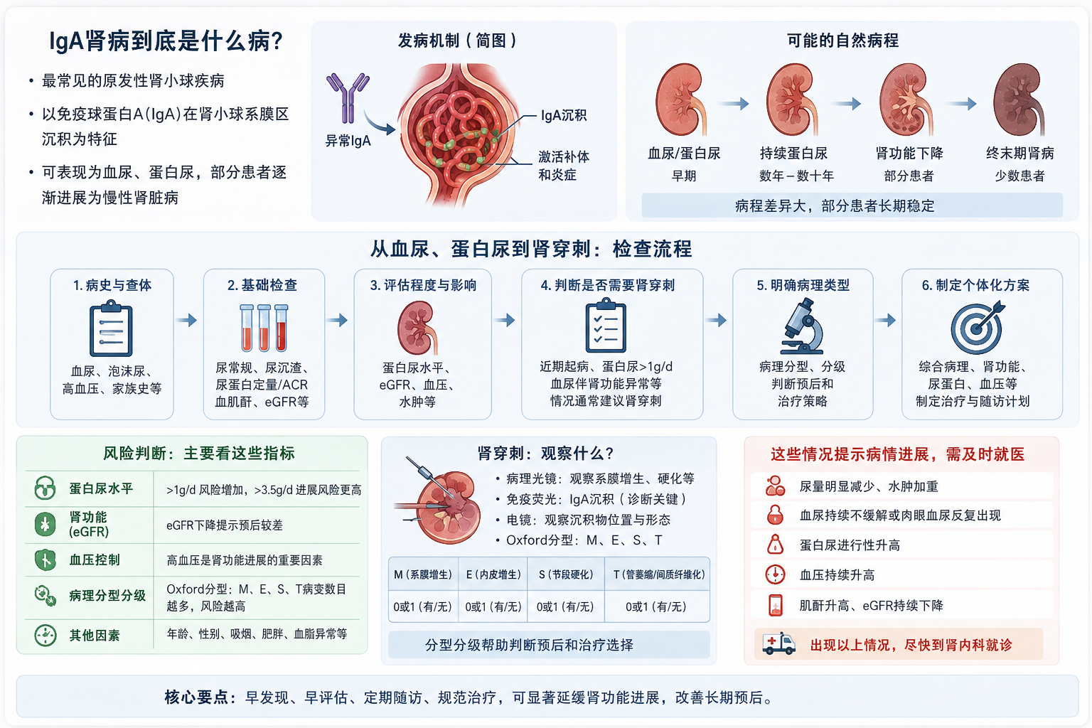 IgA肾病到底是什么病？从血尿、蛋白尿到肾穿刺，一次讲清检查与风险判断