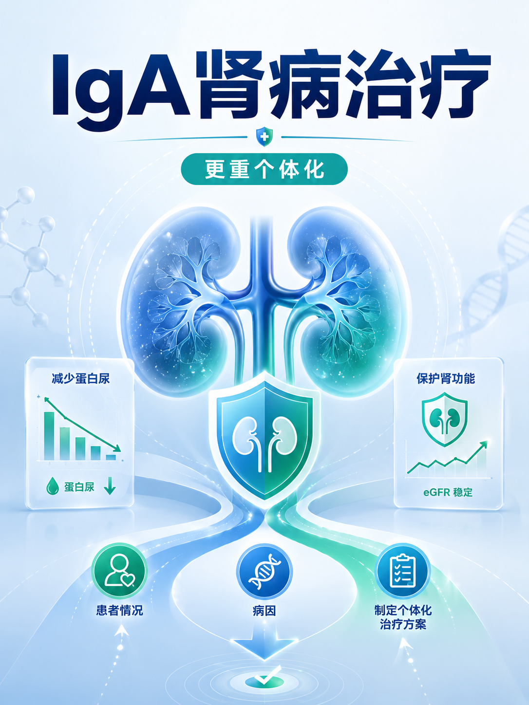 IgA肾病治疗：从降蛋白尿、护肾到针对病因，为什么越来越强调个体化