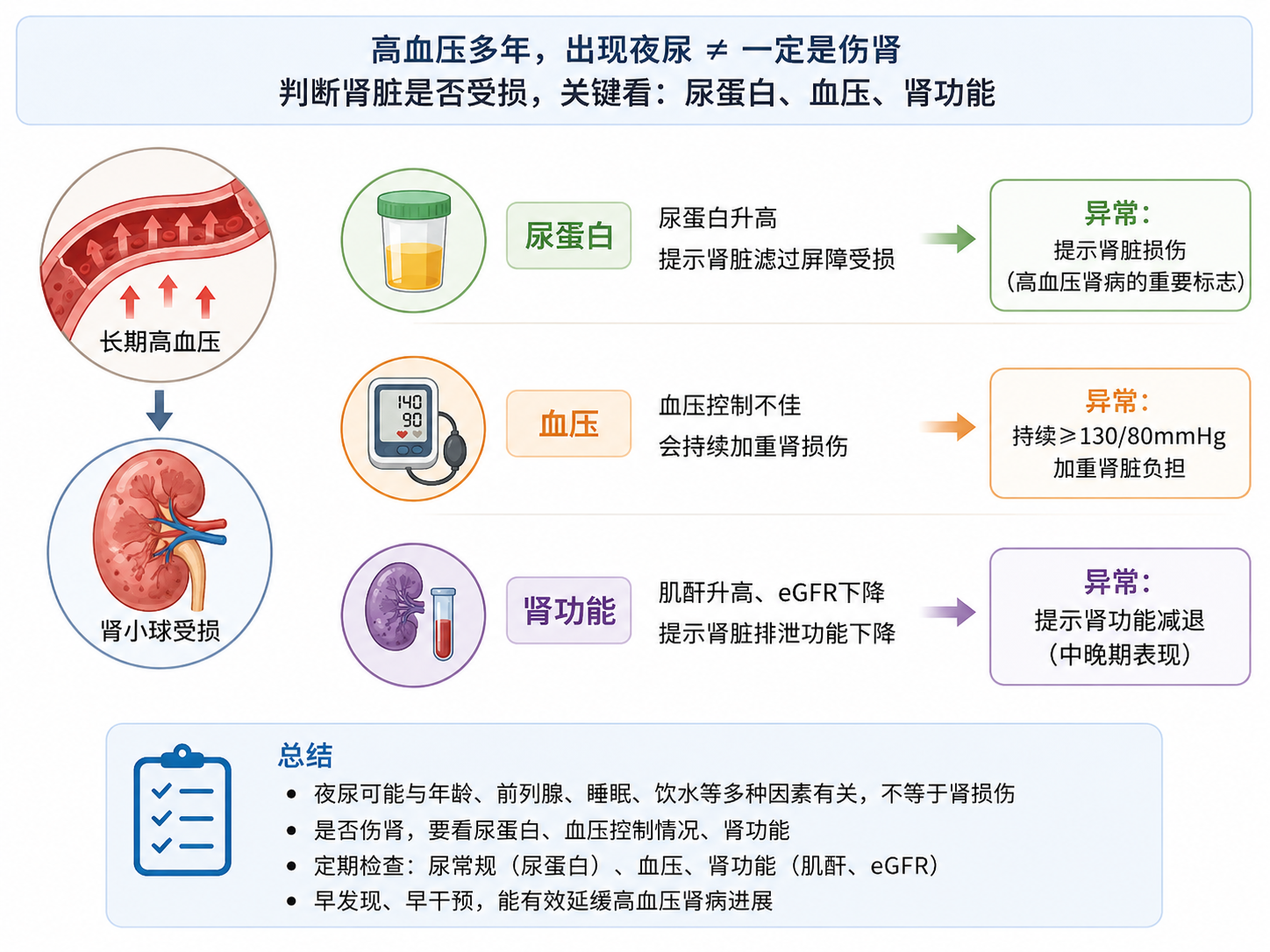 高血压多年，出现夜尿就是伤肾了吗？从尿蛋白、血压和肾功能说清楚