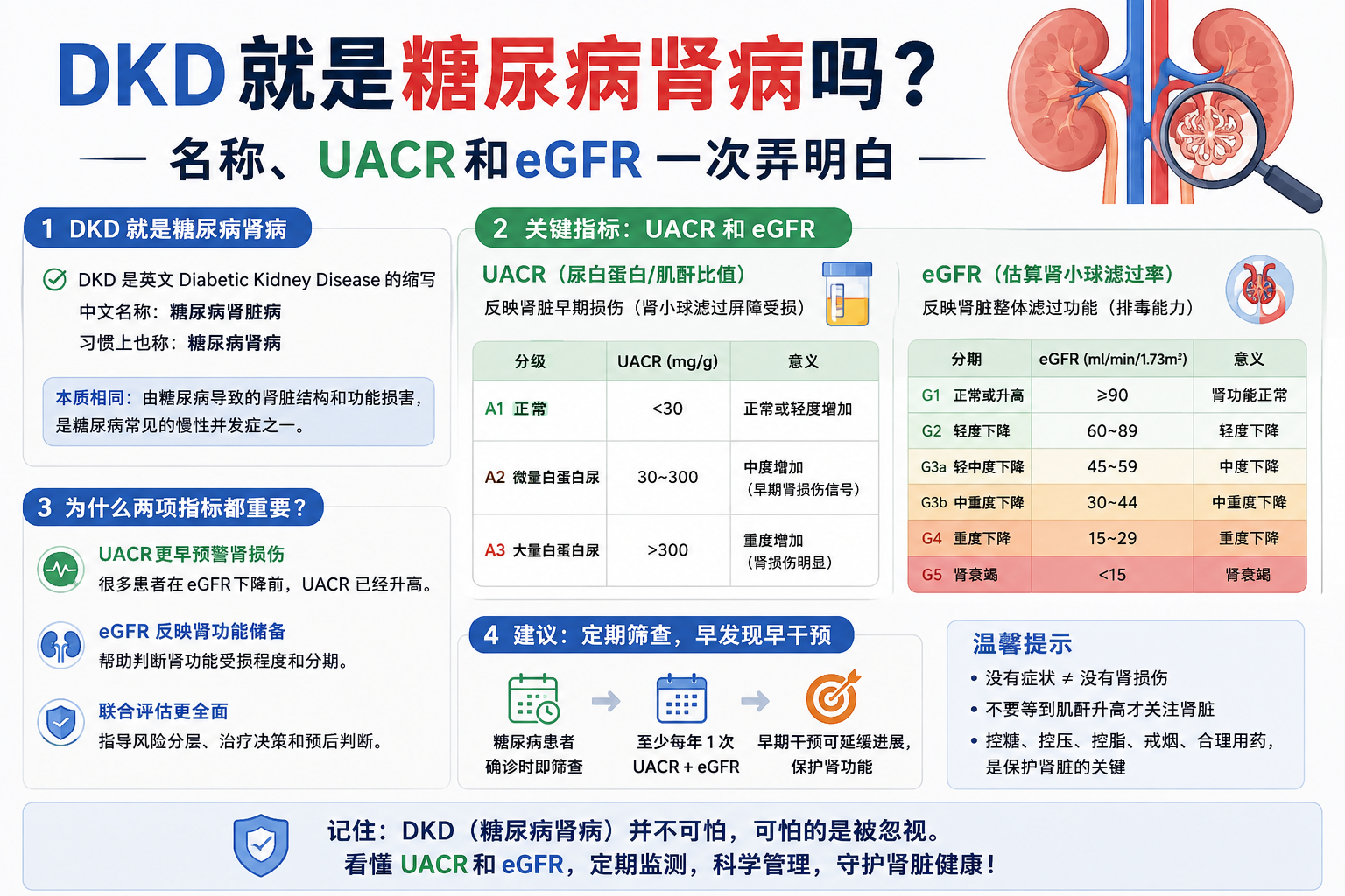 DKD就是糖尿病肾病吗？名称、UACR和eGFR一次弄明白