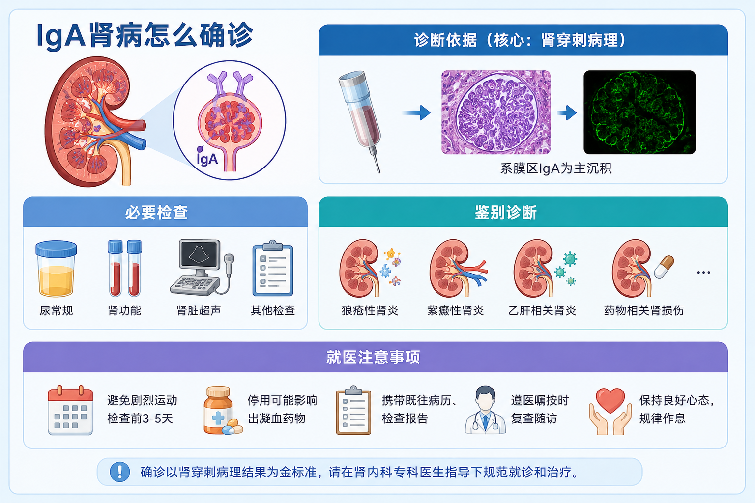 IgA肾病怎么确诊｜重点解读诊断依据、鉴别诊断和必要检查，并说明就医注意事项