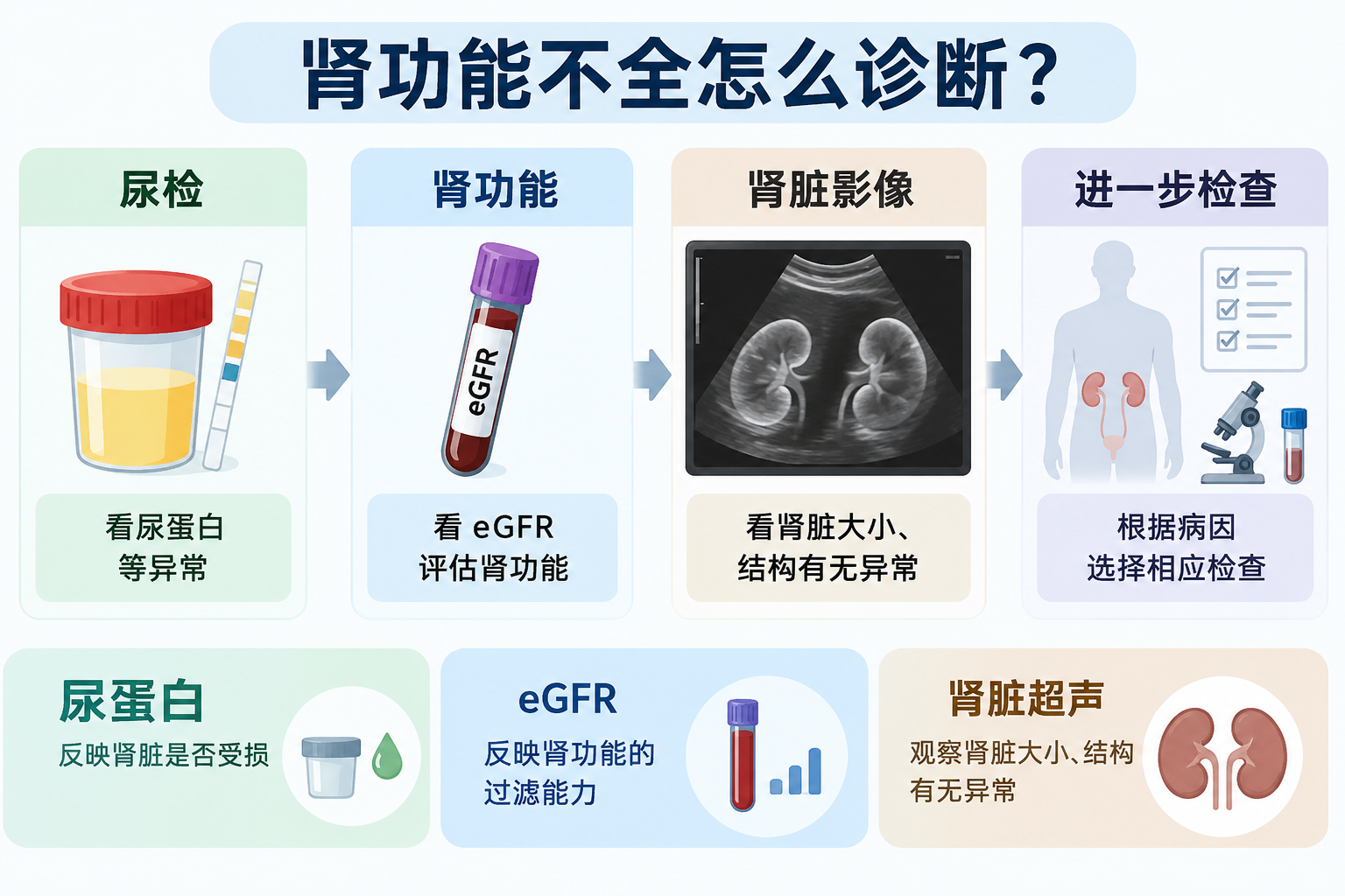 肾功能不全怎么诊断？eGFR、尿蛋白和肾脏超声各能说明什么
