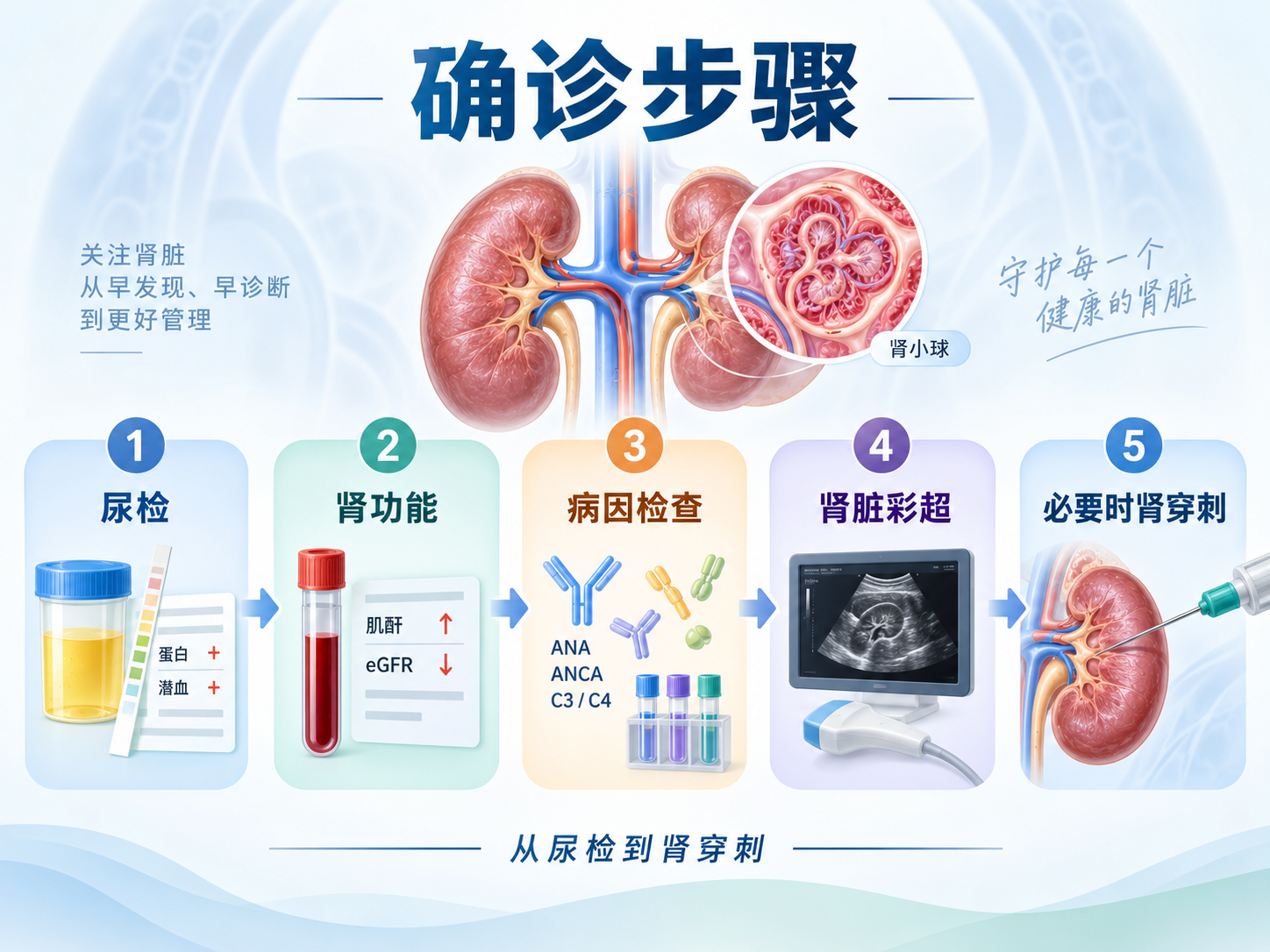 怀疑肾小球肾炎，确诊要走哪几步？从尿检到肾穿刺说清楚