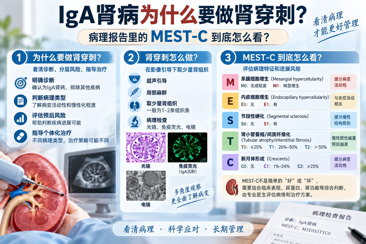 IgA肾病为什么要做肾穿刺？病理报告里的MEST-C到底怎么看
