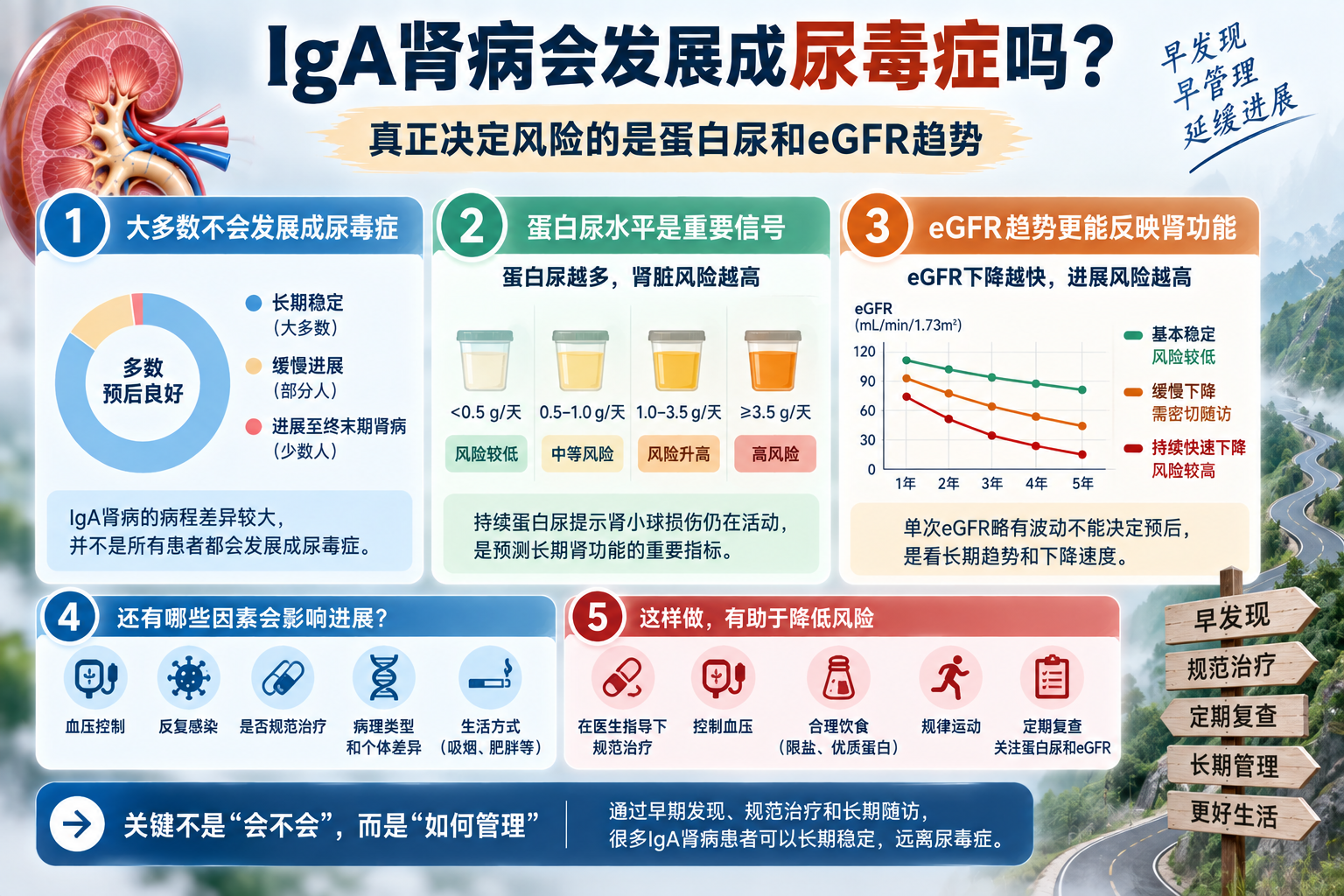 IgA肾病会发展成尿毒症吗？真正决定风险的是蛋白尿和eGFR趋势