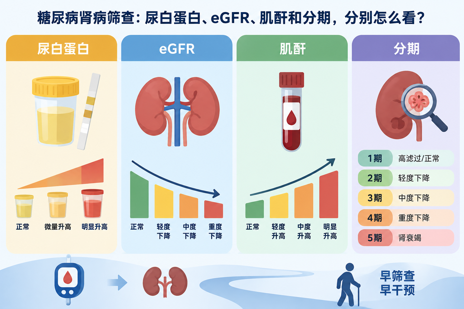 糖尿病肾病筛查：尿白蛋白、eGFR、肌酐和分期，分别怎么看？