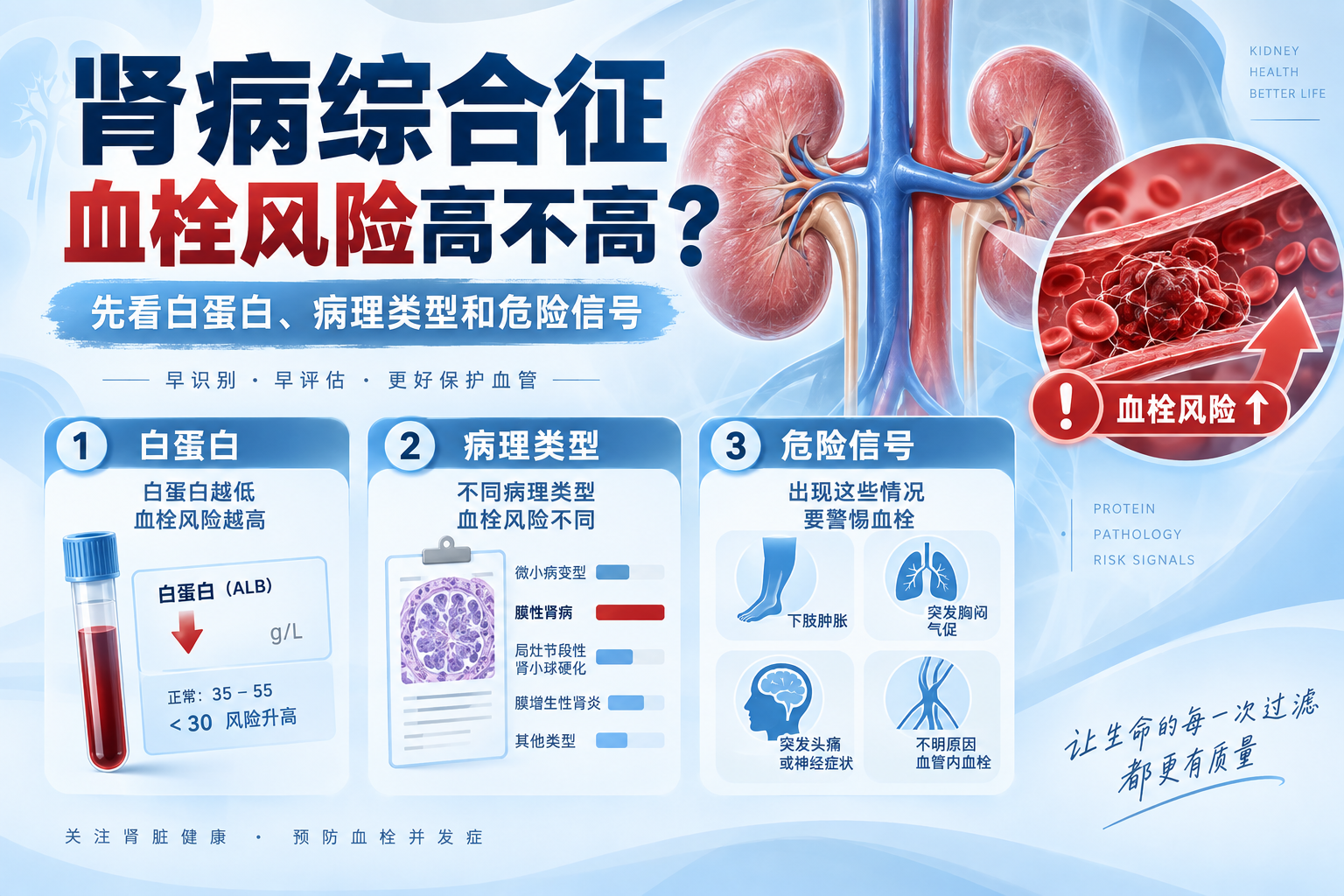 肾病综合征血栓风险高不高？先看白蛋白、病理类型和危险信号